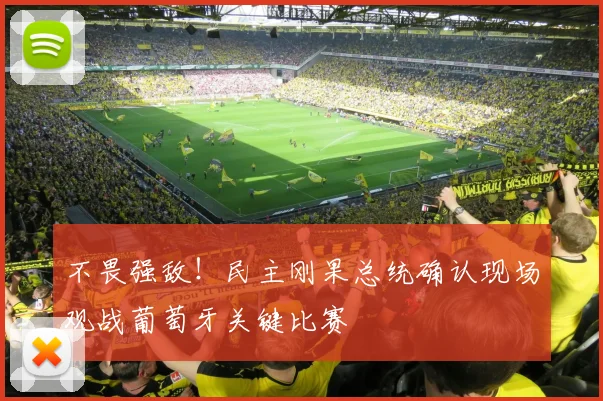 不畏强敌！民主刚果总统确认现场观战葡萄牙关键比赛